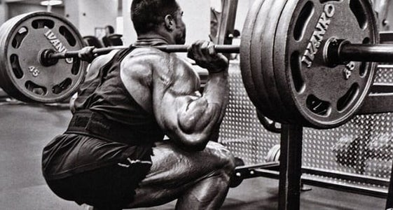 powerlifting agachamento