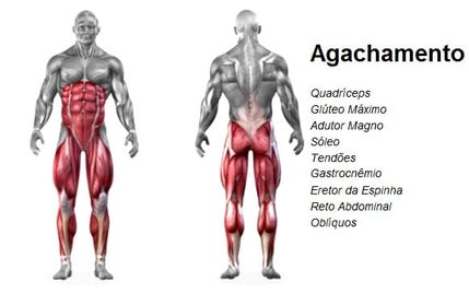músculos trabalhados no agachamento