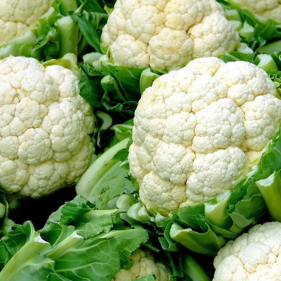 alimentos sem hidratos de carbono