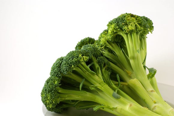 alimentos sem hidratos de carbono