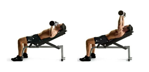 treino de peito