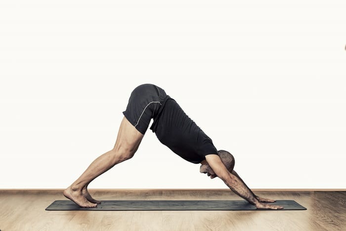 ADHOMUKHA SVANASANA_BrunoBarata
