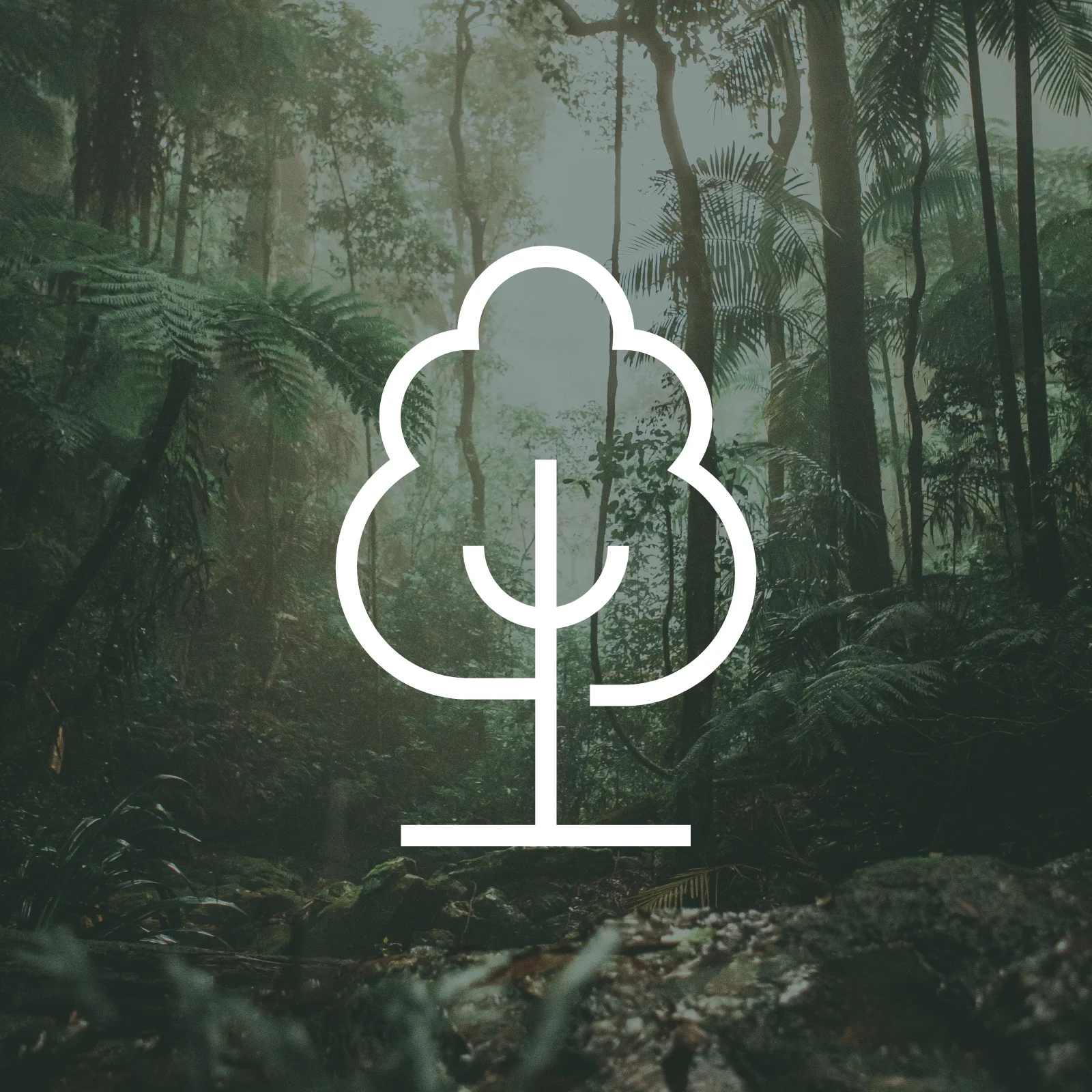 1 Tree Planted via THG (More Trees) Imagem 1